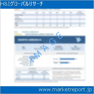市場と産業調査レポートのイメージ